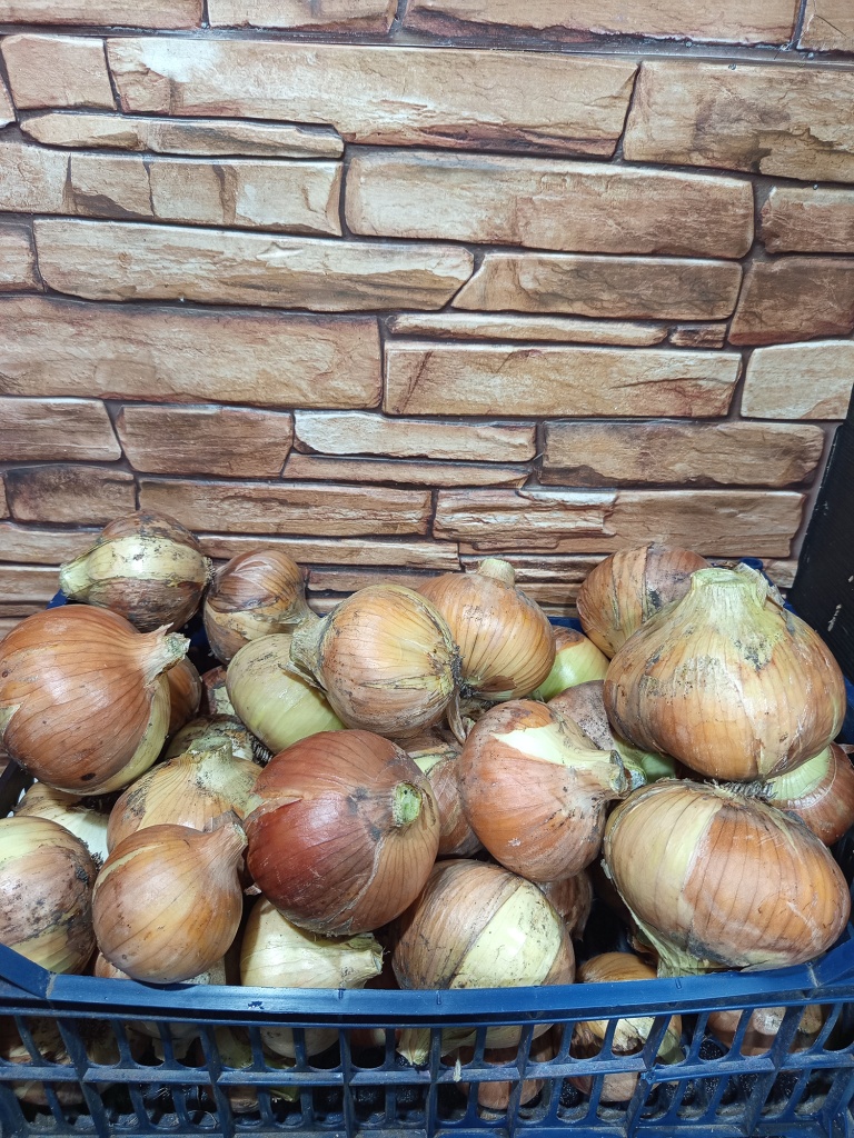 урожай с одного пакетика семян, 15 кг отборного лука.jpg урожай с одного пакетика семян, 15 кг отборного лука.jpg