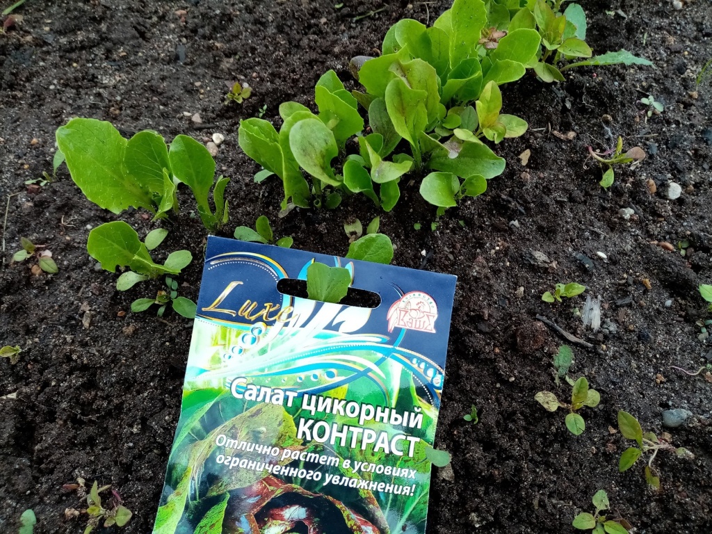 50pABFEAcQY.jpg 50pABFEAcQY.jpg