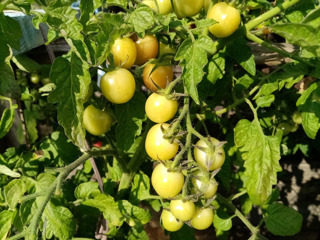 _Al_dqMFPlw.jpg _Al_dqMFPlw.jpg