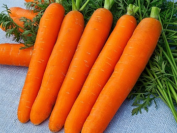 Витамины в овощах и фруктах: растения-рекордсмены