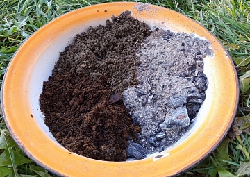 Зольная ванна для кур: из чего состоит, зачем нужна и как сделать